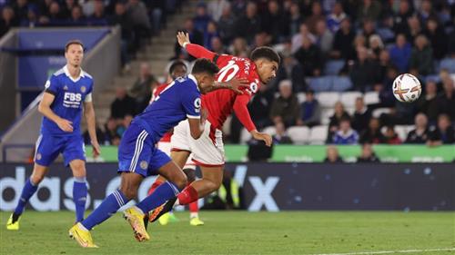 Betwinner Casino: Ultimate Guide and Review